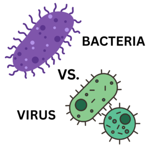 Difference between bacterial and viral infections